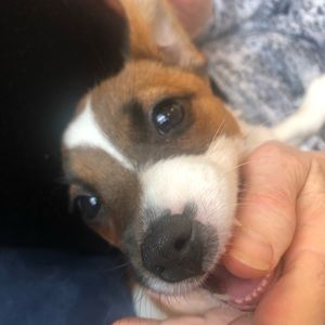 Meet your Posher, Nolan